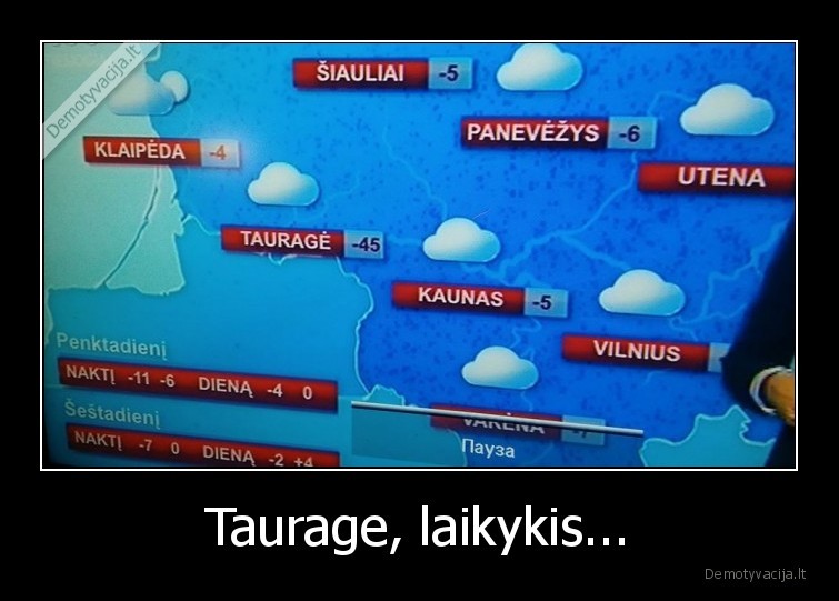 Taurage, laikykis... - 