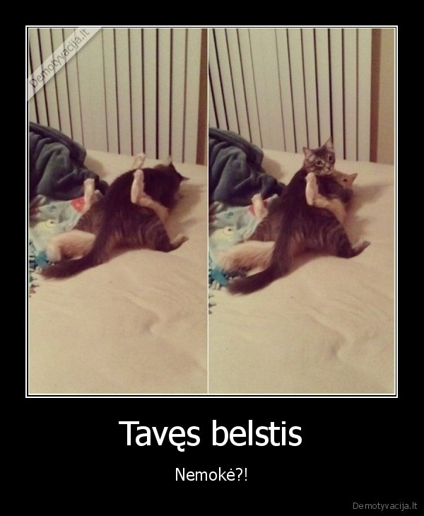 Tavęs belstis - Nemokė?!