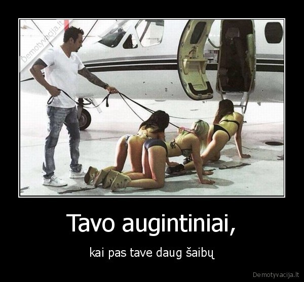 Tavo augintiniai, - kai pas tave daug šaibų