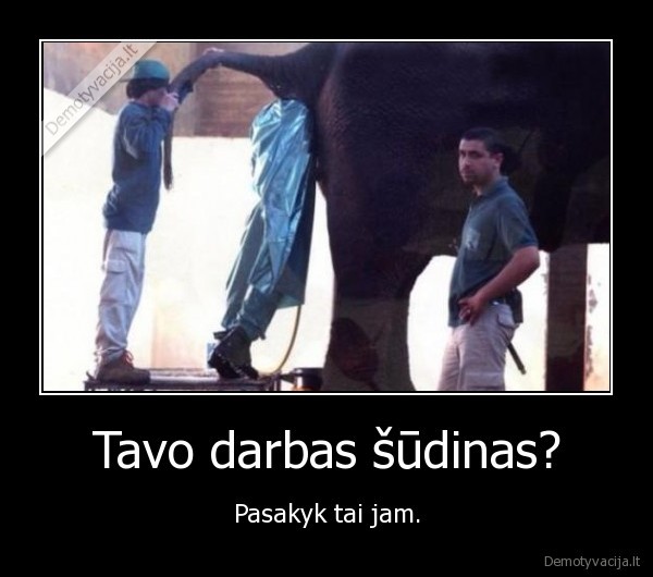 Tavo darbas šūdinas? - Pasakyk tai jam.