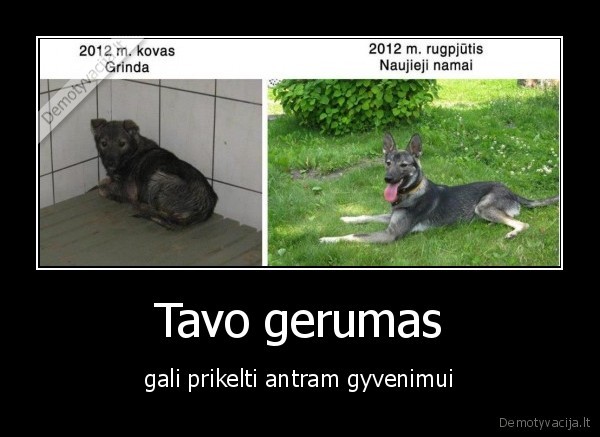 Tavo gerumas - gali prikelti antram gyvenimui