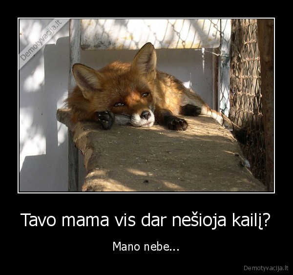 Tavo mama vis dar nešioja kailį? - Mano nebe...