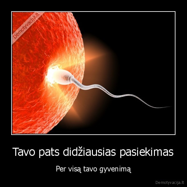 Tavo pats didžiausias pasiekimas - Per visą tavo gyvenimą