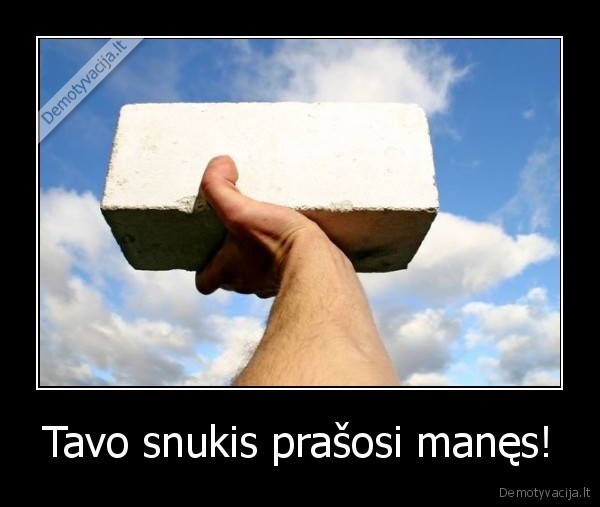 Tavo snukis prašosi manęs! - 