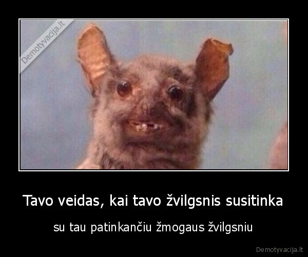 Tavo veidas, kai tavo žvilgsnis susitinka - su tau patinkančiu žmogaus žvilgsniu