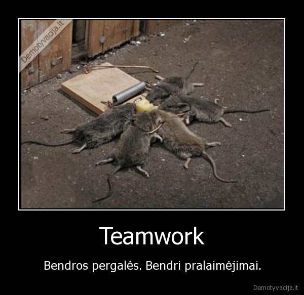 Teamwork - Bendros pergalės. Bendri pralaimėjimai.