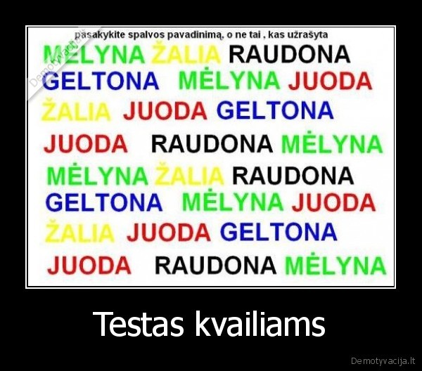 Testas kvailiams - 