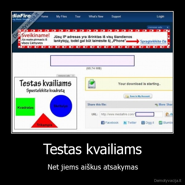 Testas kvailiams - Net jiems aiškus atsakymas