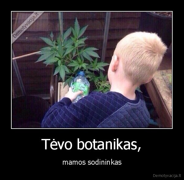 Tėvo botanikas, - mamos sodininkas