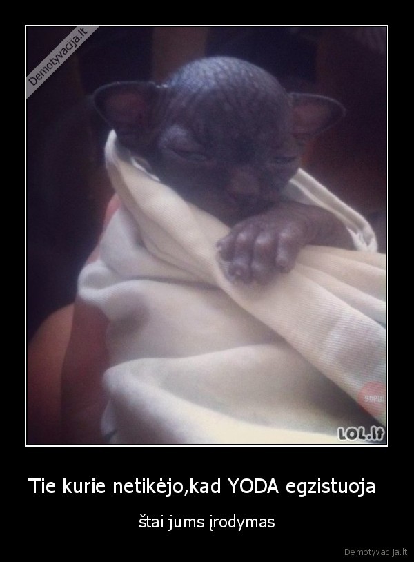 Tie kurie netikėjo,kad YODA egzistuoja  - štai jums įrodymas