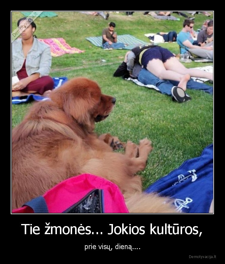 Tie žmonės... Jokios kultūros, - prie visų, dieną....