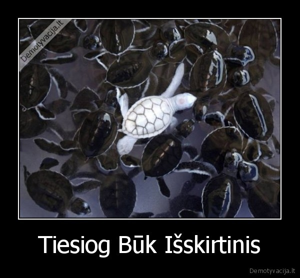 Tiesiog Būk Išskirtinis - 