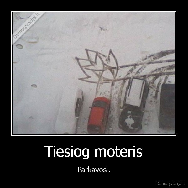 Tiesiog moteris - Parkavosi.