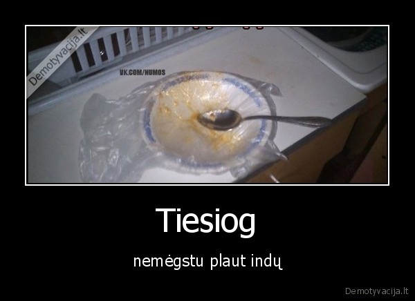 Tiesiog - nemėgstu plaut indų