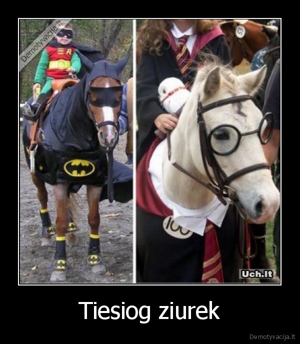 Tiesiog ziurek - 