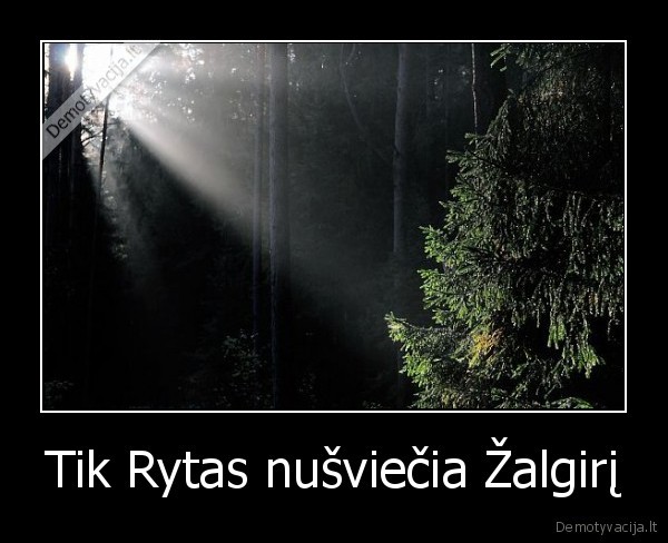 Tik Rytas nušviečia Žalgirį - 