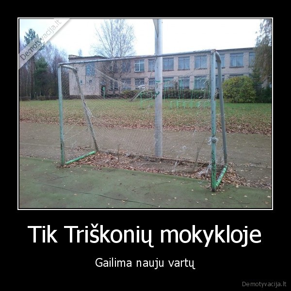 Tik Triškonių mokykloje - Gailima nauju vartų