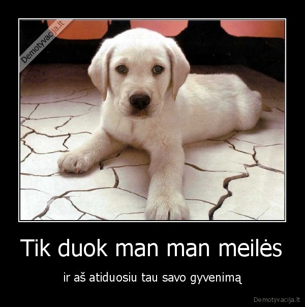 Tik duok man man meilės - ir aš atiduosiu tau savo gyvenimą