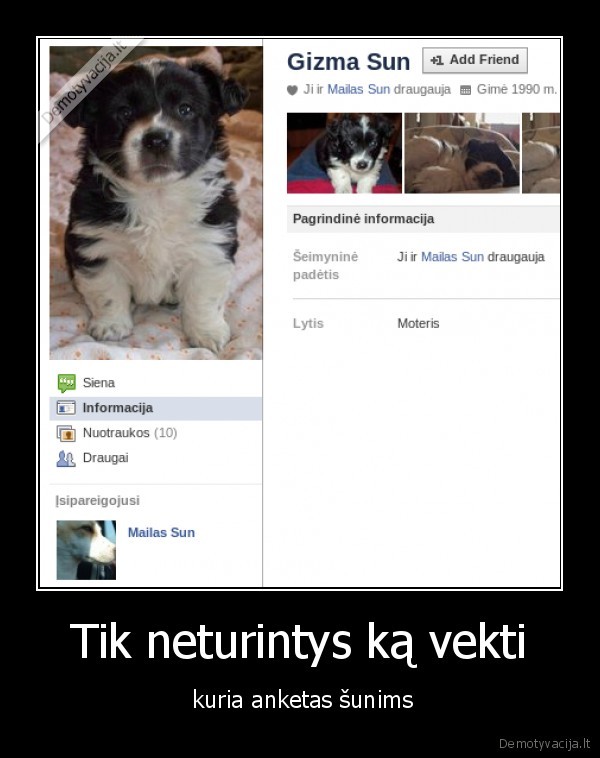 Tik neturintys ką vekti -  kuria anketas šunims