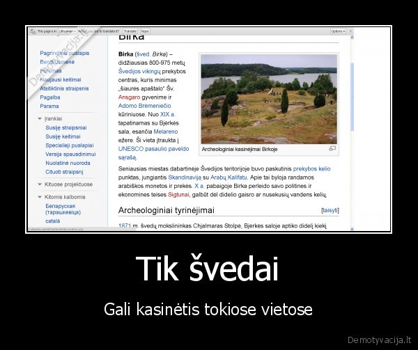 Tik švedai - Gali kasinėtis tokiose vietose