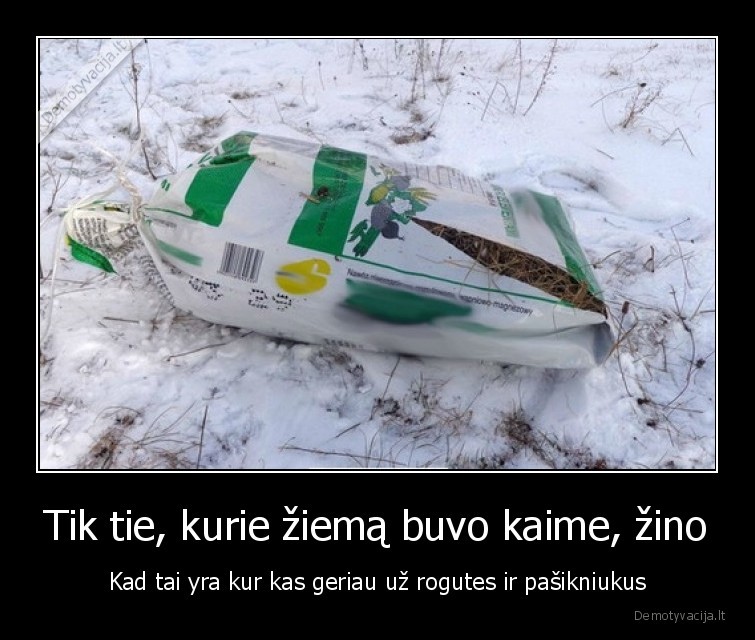 Tik tie, kurie žiemą buvo kaime, žino - Kad tai yra kur kas geriau už rogutes ir pašikniukus