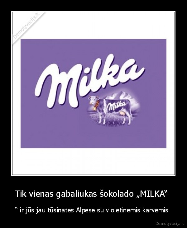 Tik vienas gabaliukas šokolado „MILKA“  - “ ir jūs jau tūsinatės Alpėse su violetinėmis karvėmis 