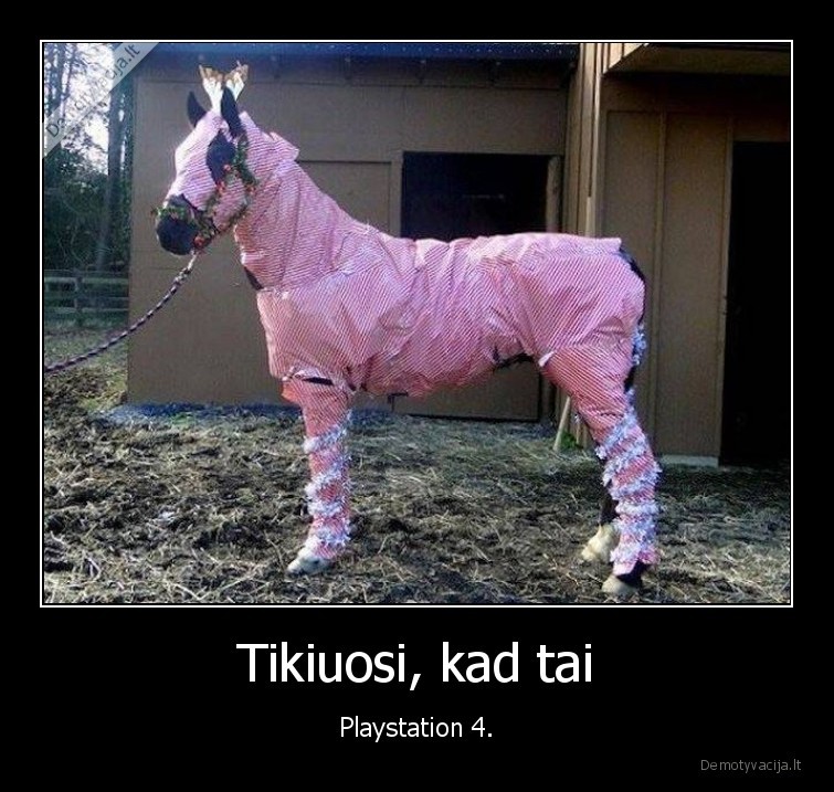 Tikiuosi, kad tai - Playstation 4.