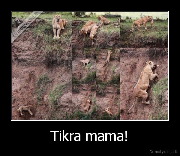 Tikra mama! - 