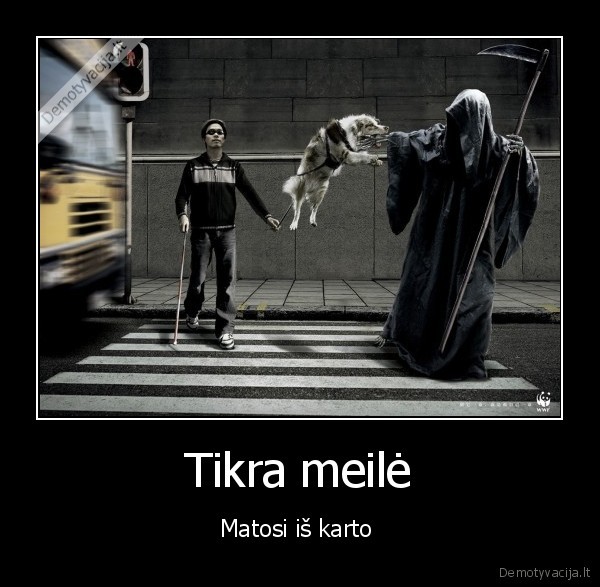 Tikra meilė - Matosi iš karto 