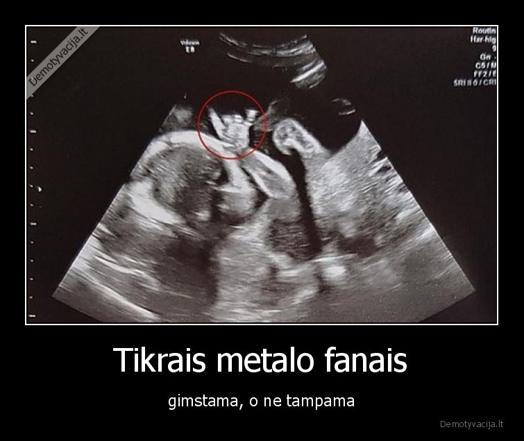 Tikrais metalo fanais - gimstama, o ne tampama