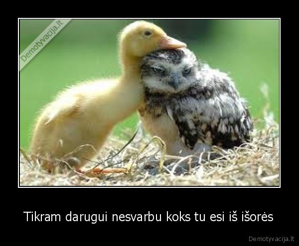 Tikram darugui nesvarbu koks tu esi iš išorės - 