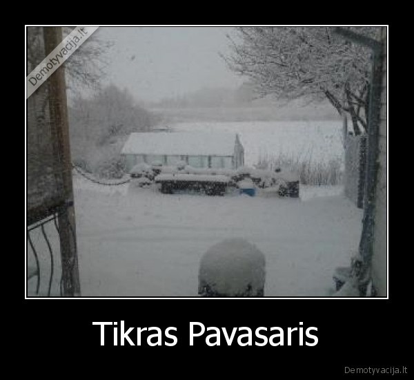 Tikras Pavasaris - 