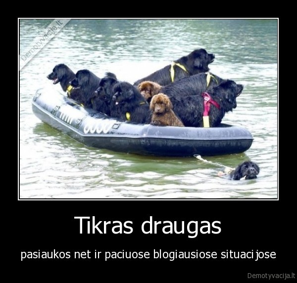 Tikras draugas - pasiaukos net ir paciuose blogiausiose situacijose