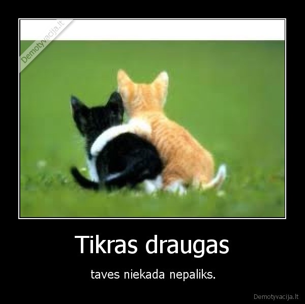 Tikras draugas - taves niekada nepaliks.