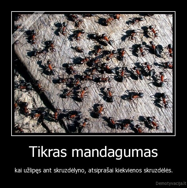 Tikras mandagumas - kai užlipęs ant skruzdėlyno, atsiprašai kiekvienos skruzdėlės.