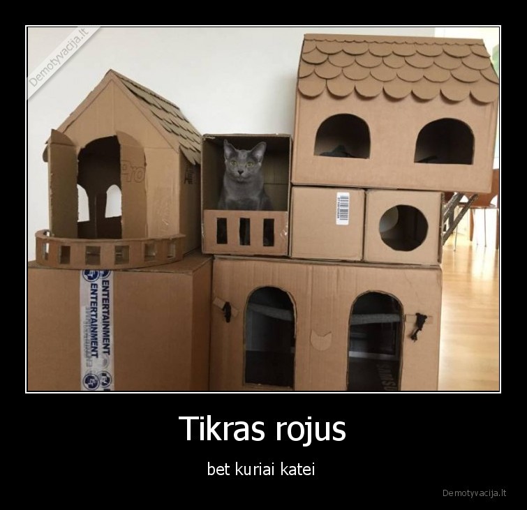 Tikras rojus - bet kuriai katei 