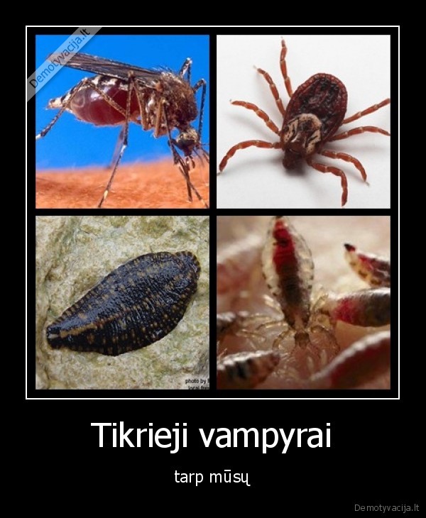 Tikrieji vampyrai - tarp mūsų