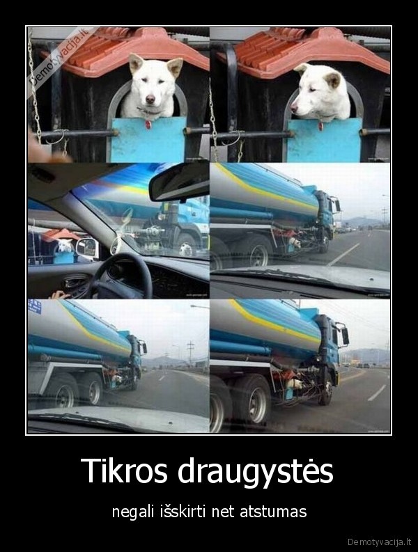 Tikros draugystės - negali išskirti net atstumas