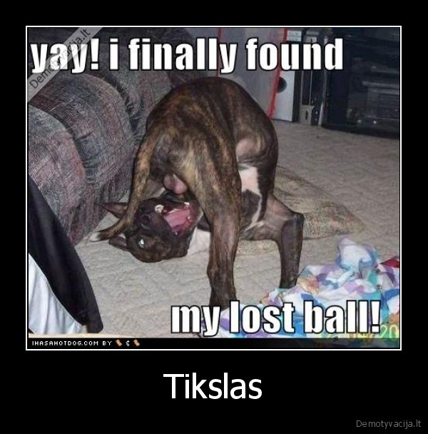 Tikslas - 