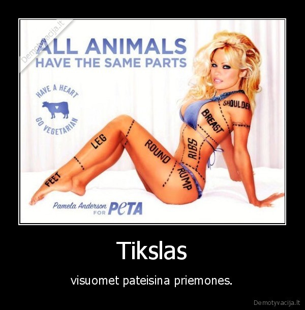 Tikslas - visuomet pateisina priemones.