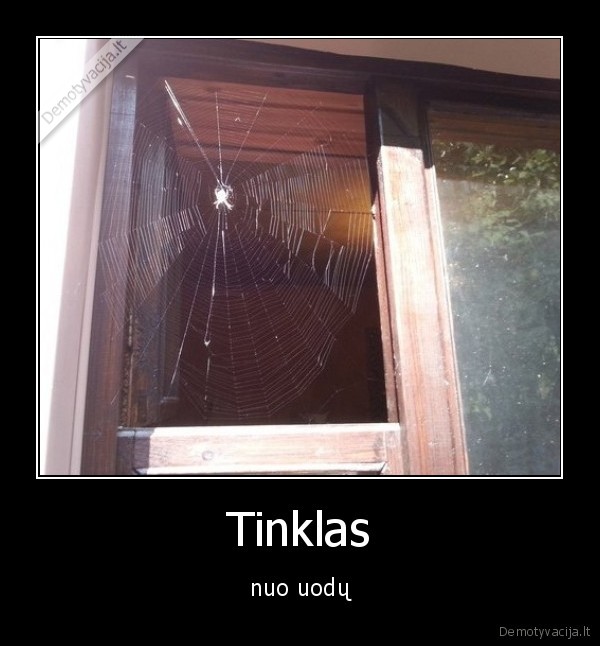 Tinklas - nuo uodų