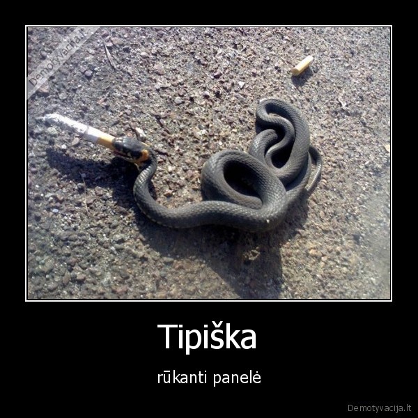 Tipiška - rūkanti panelė