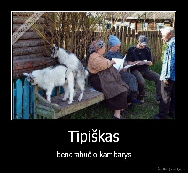 Tipiškas - bendrabučio kambarys