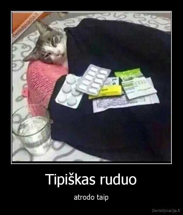 Tipiškas ruduo - atrodo taip