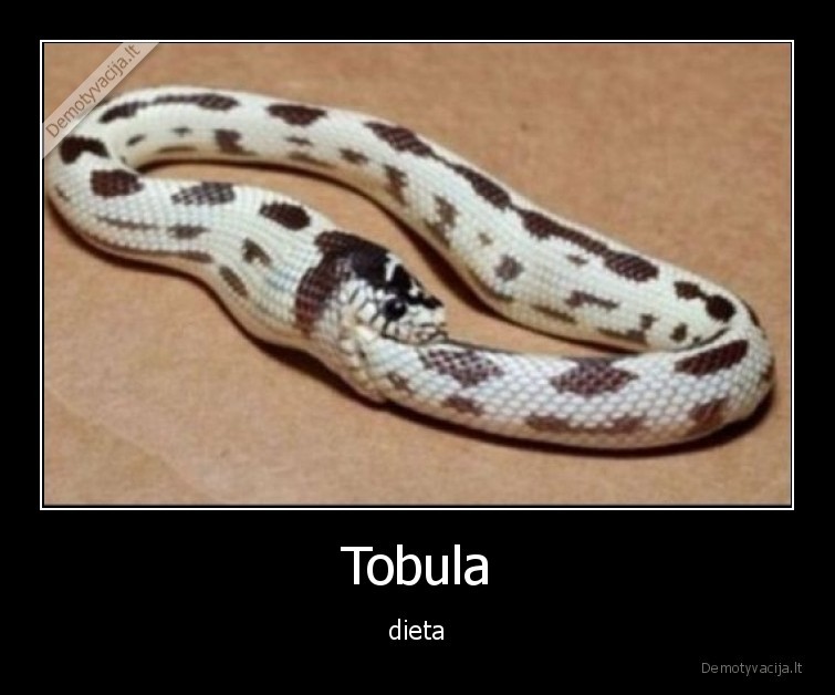 Tobula - dieta