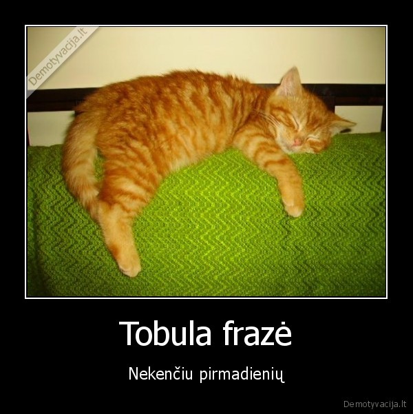 Tobula frazė - Nekenčiu pirmadienių