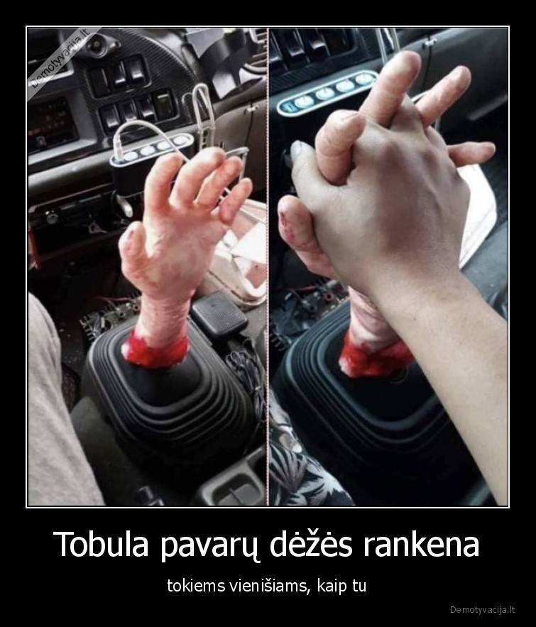 Tobula pavarų dėžės rankena - tokiems vienišiams, kaip tu