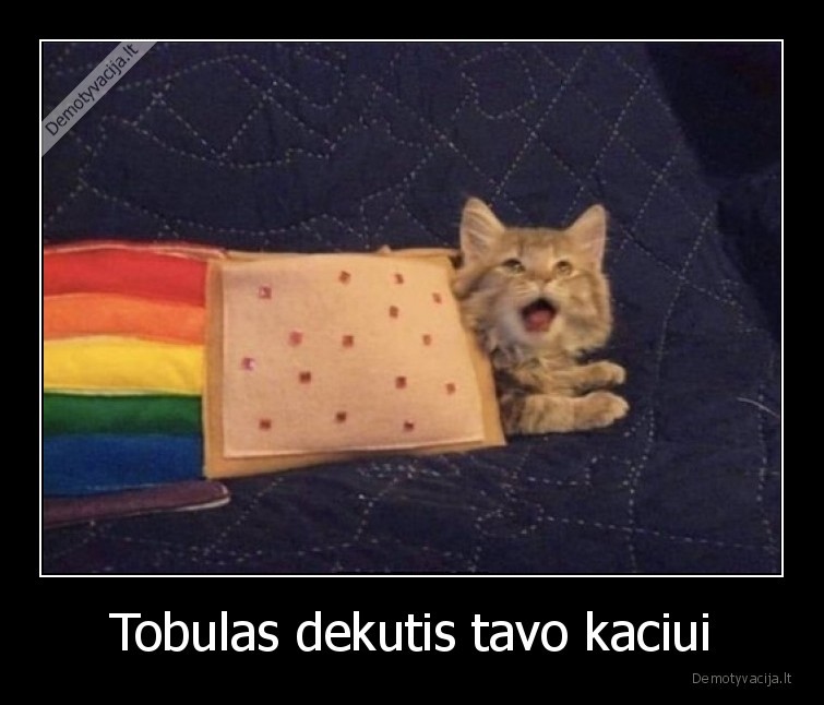 Tobulas dekutis tavo kaciui - 