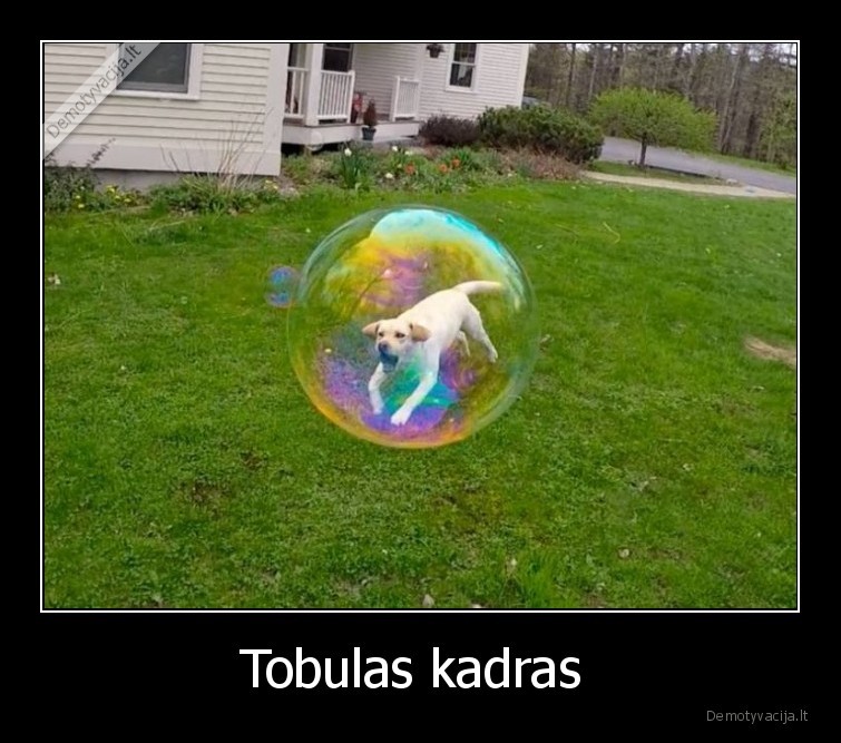 Tobulas kadras  - 