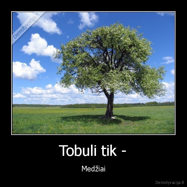 Tobuli tik - - Medžiai